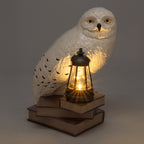 Immagine del prodotto Lampada solare 3D Edvige - Harry Potter