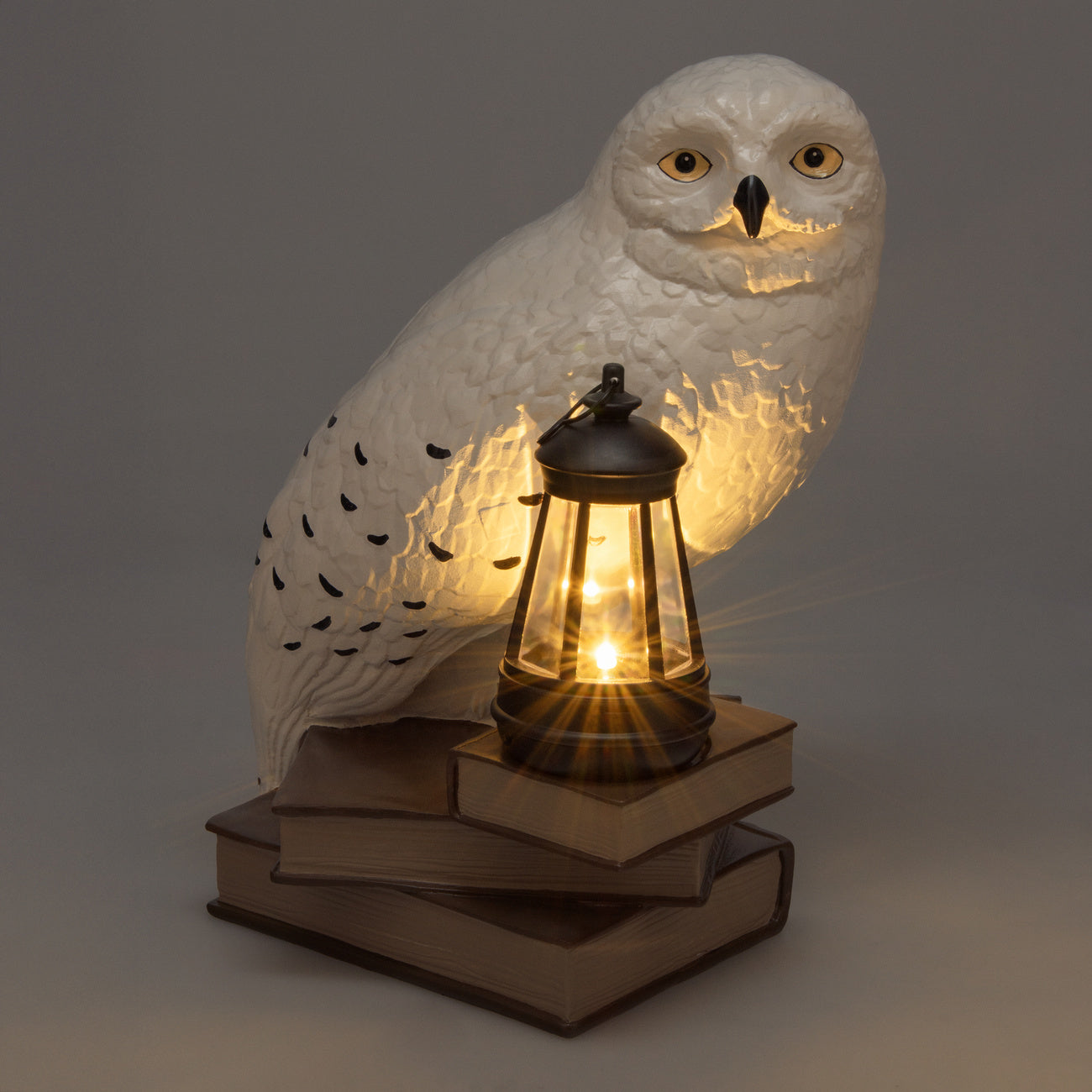 Immagine del prodotto Lampada solare 3D Edvige - Harry Potter