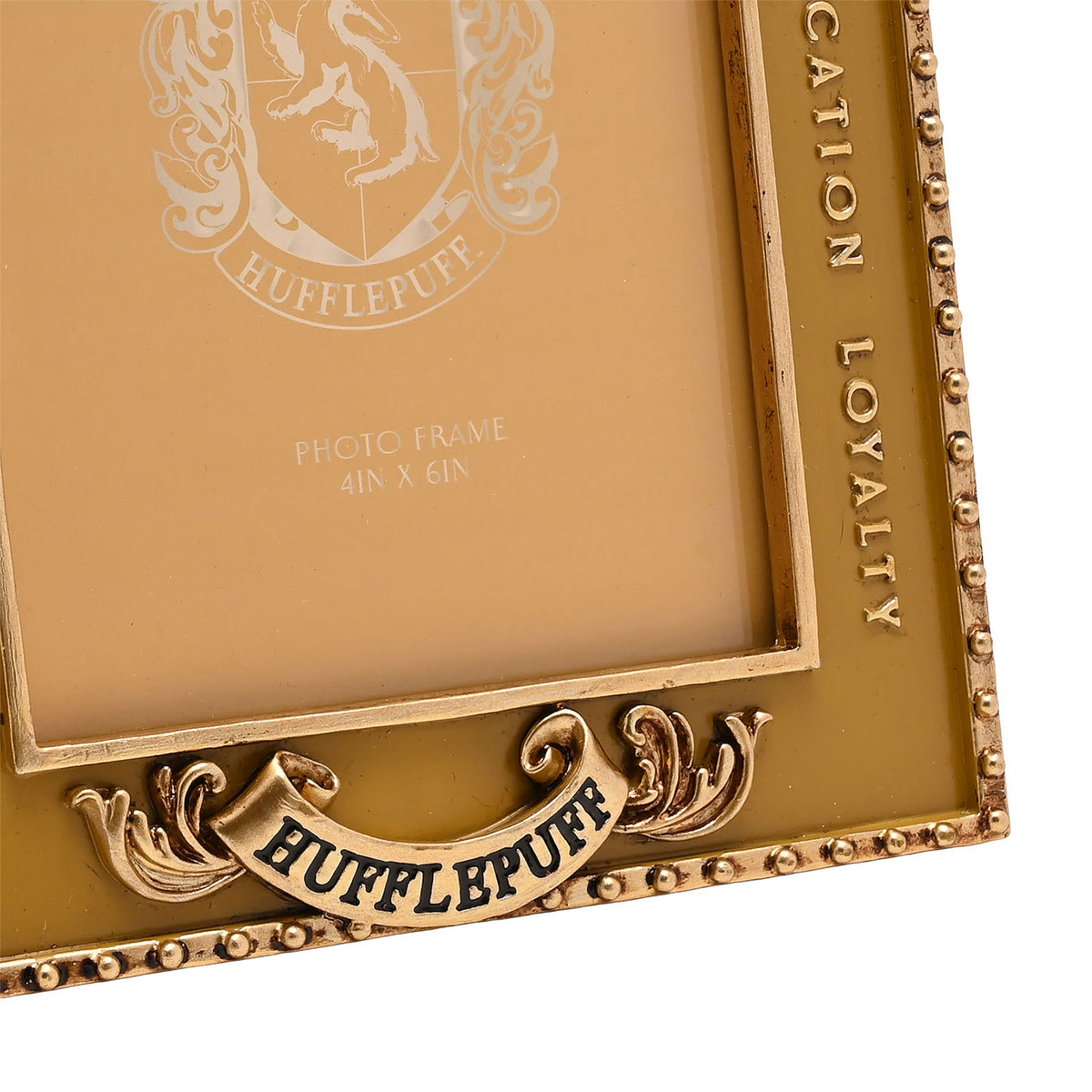 Immagine del prodotto Harry Potter - Cornice Tassorosso