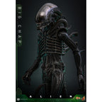 Immagine del prodotto Alien - Big Chap Masterpiece action figure 1:6