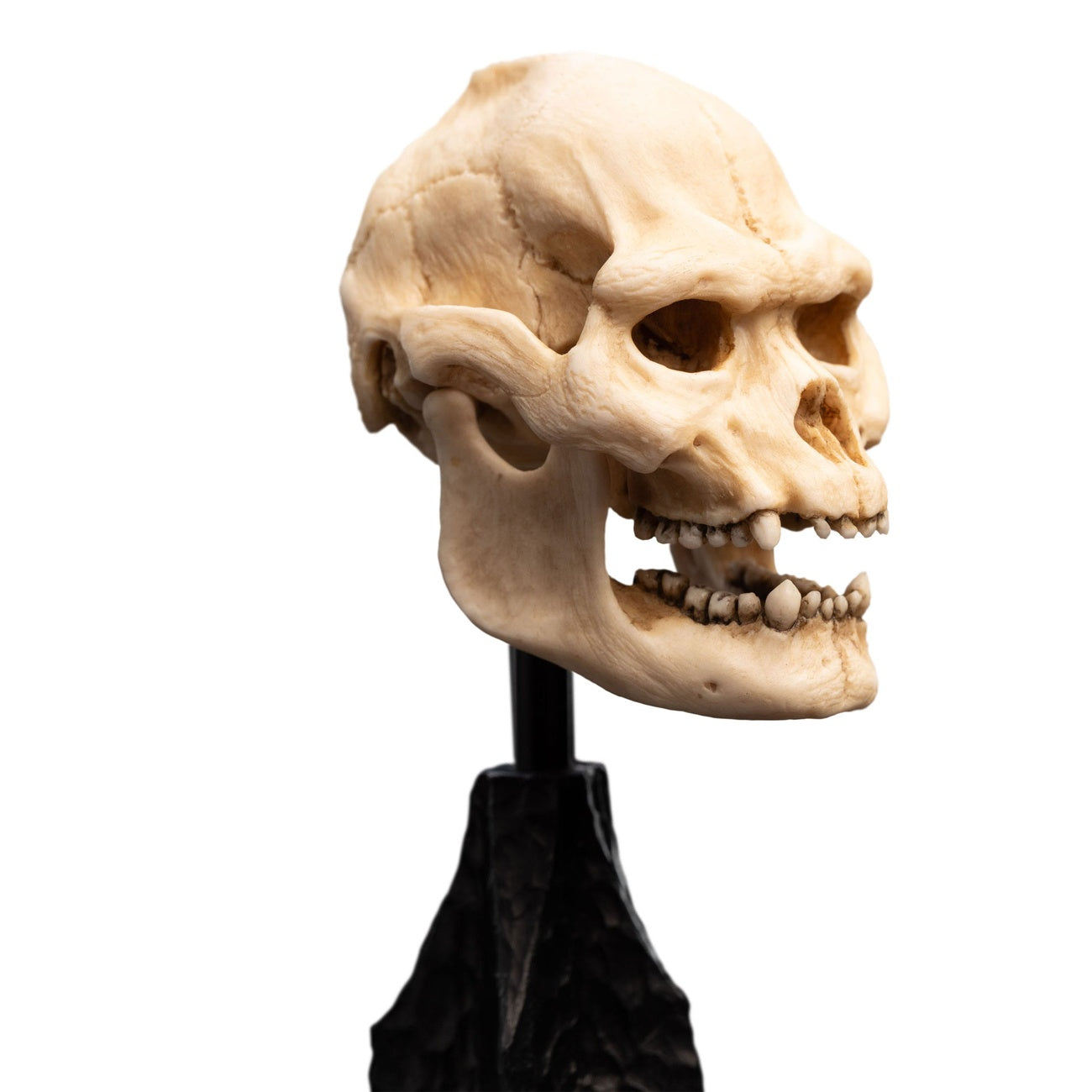 Immagine del prodotto Il Signore degli Anelli - Mini statua Teschio di Lurtz