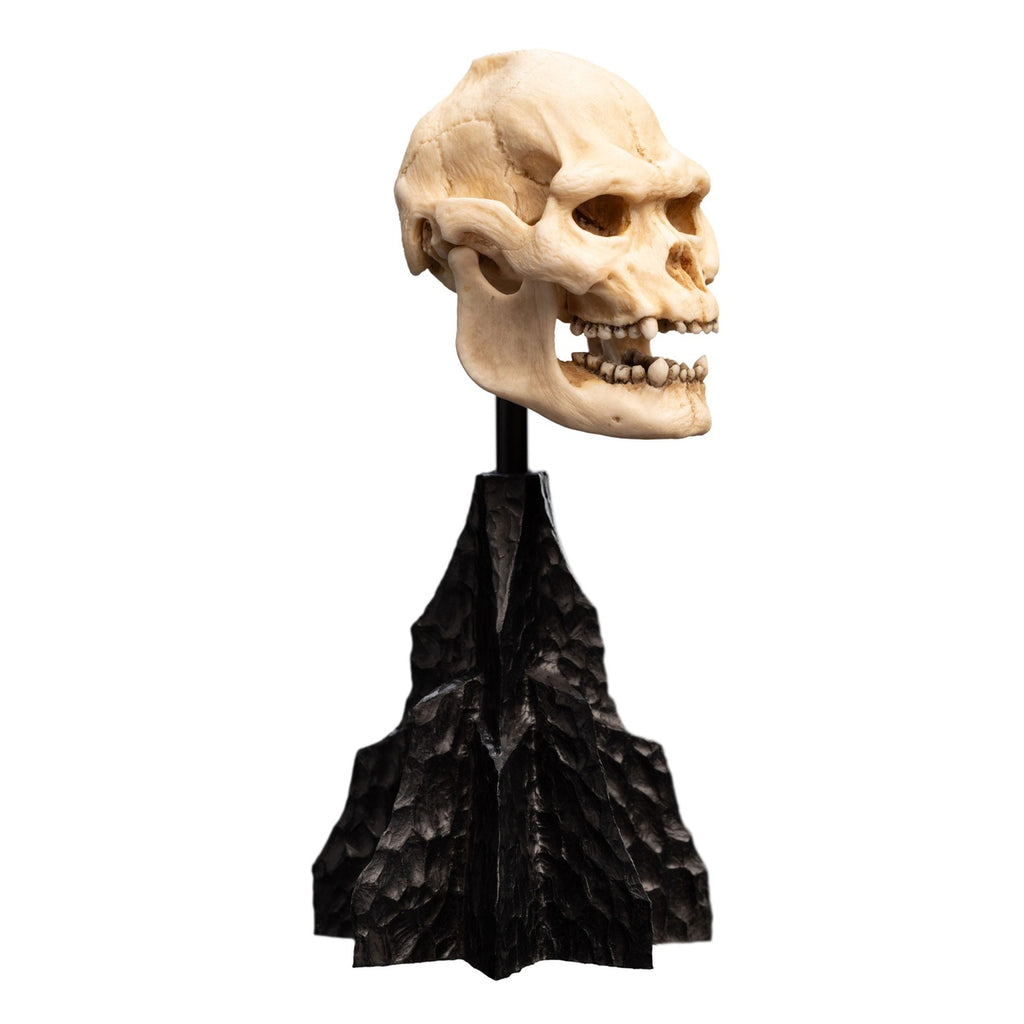 Immagine del prodotto Il Signore degli Anelli - Mini statua Teschio di Lurtz