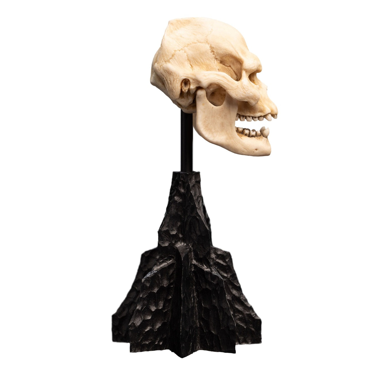 Immagine del prodotto Il Signore degli Anelli - Mini statua Teschio di Lurtz