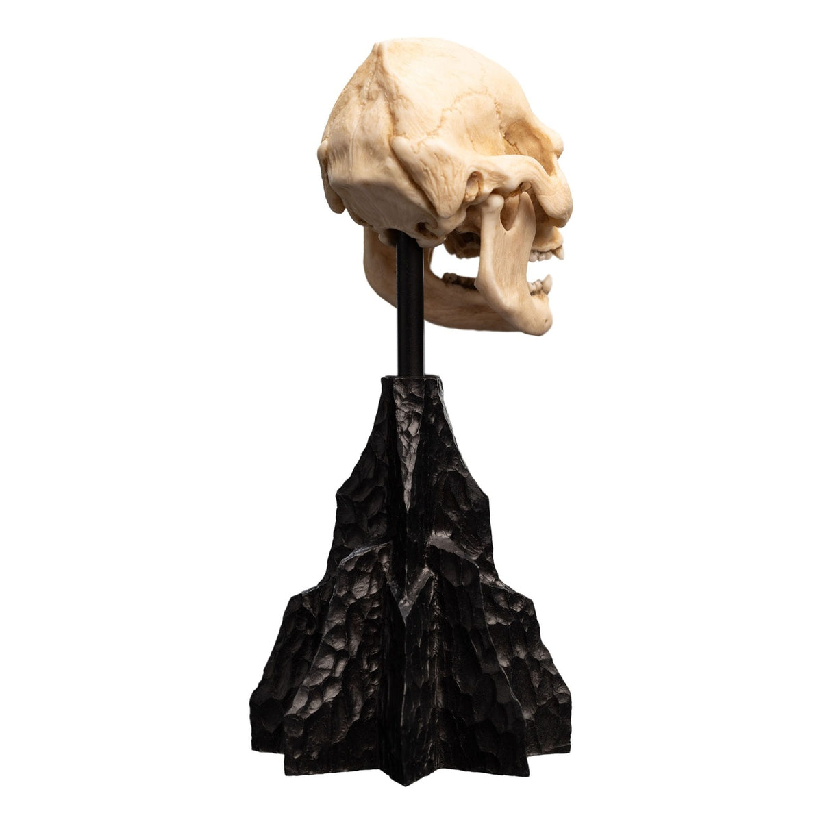 Immagine del prodotto Il Signore degli Anelli - Mini statua Teschio di Lurtz