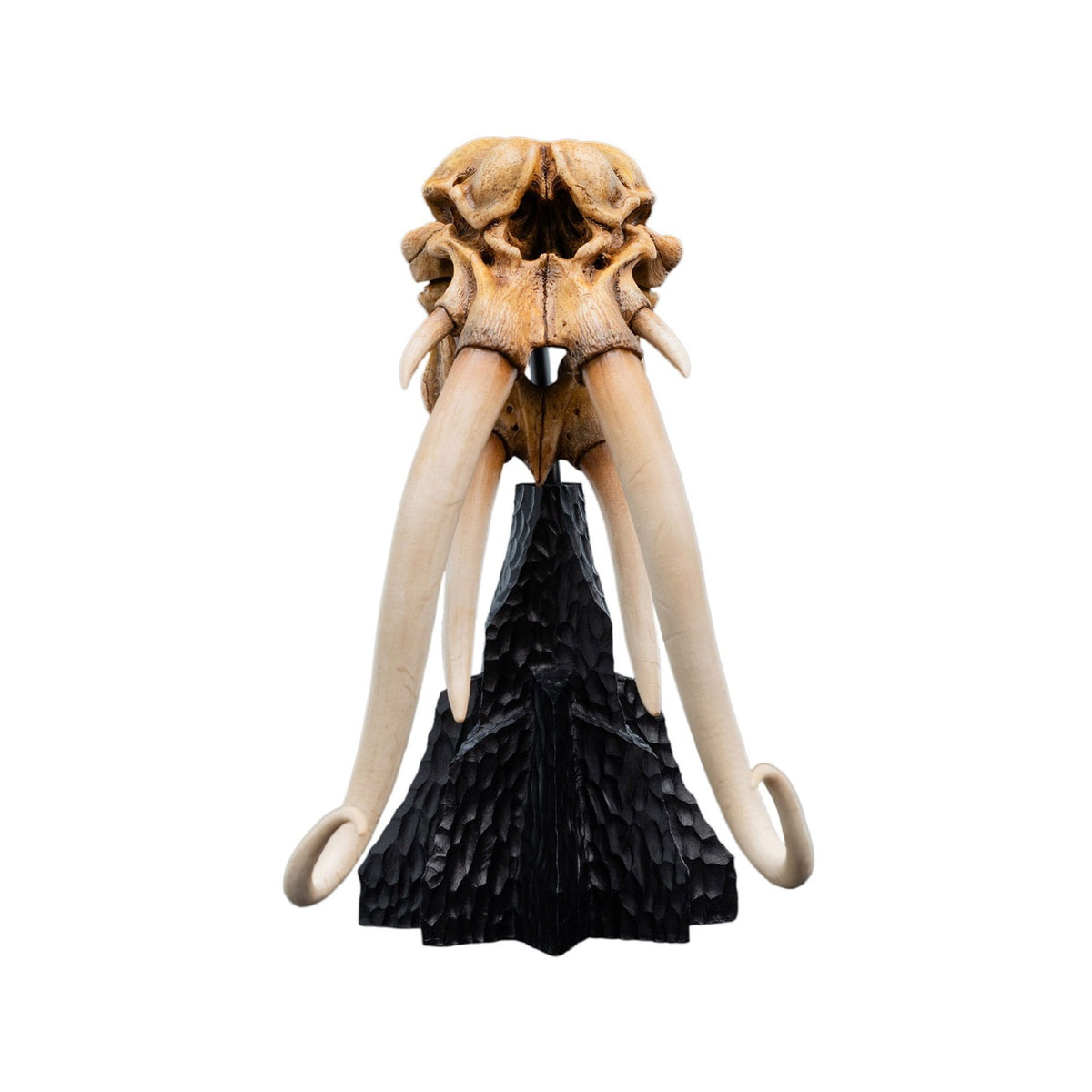 Image produit Le Seigneur des Anneaux - Crâne de Mumak Mini Statue