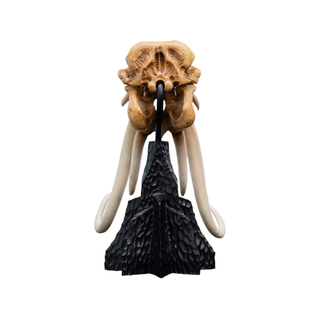 Produktbild Der Herr der Ringe - Skull of a Mumak Mini Statue
