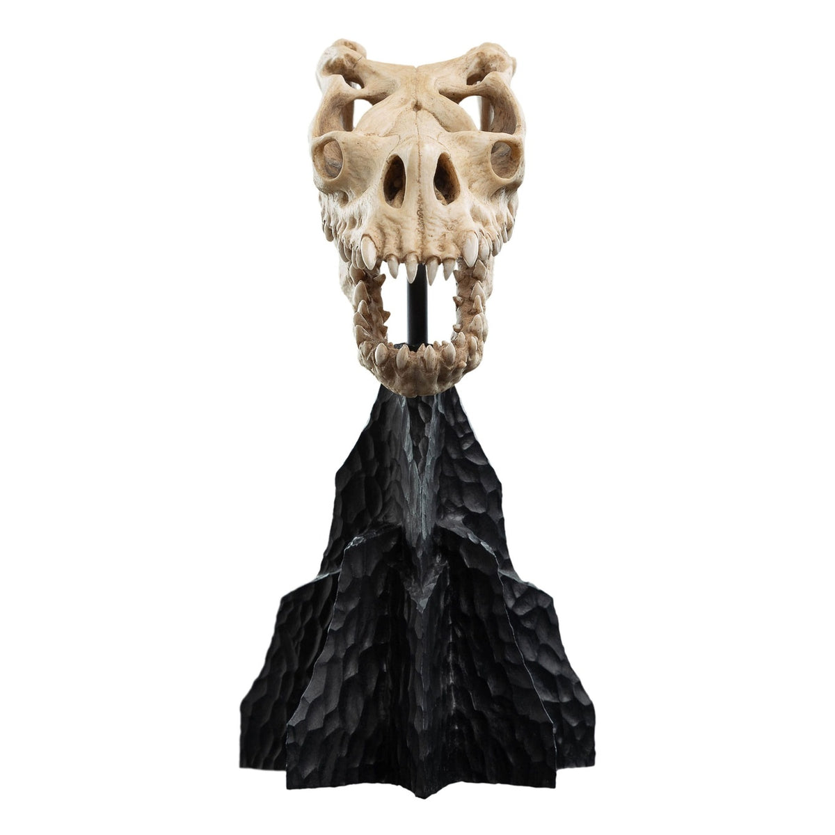 Produktbild Der Herr der Ringe - Skull of a Fell Beast Mini Statue