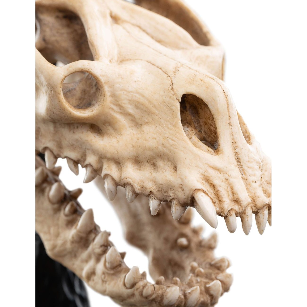Produktbild Der Herr der Ringe - Skull of a Fell Beast Mini Statue