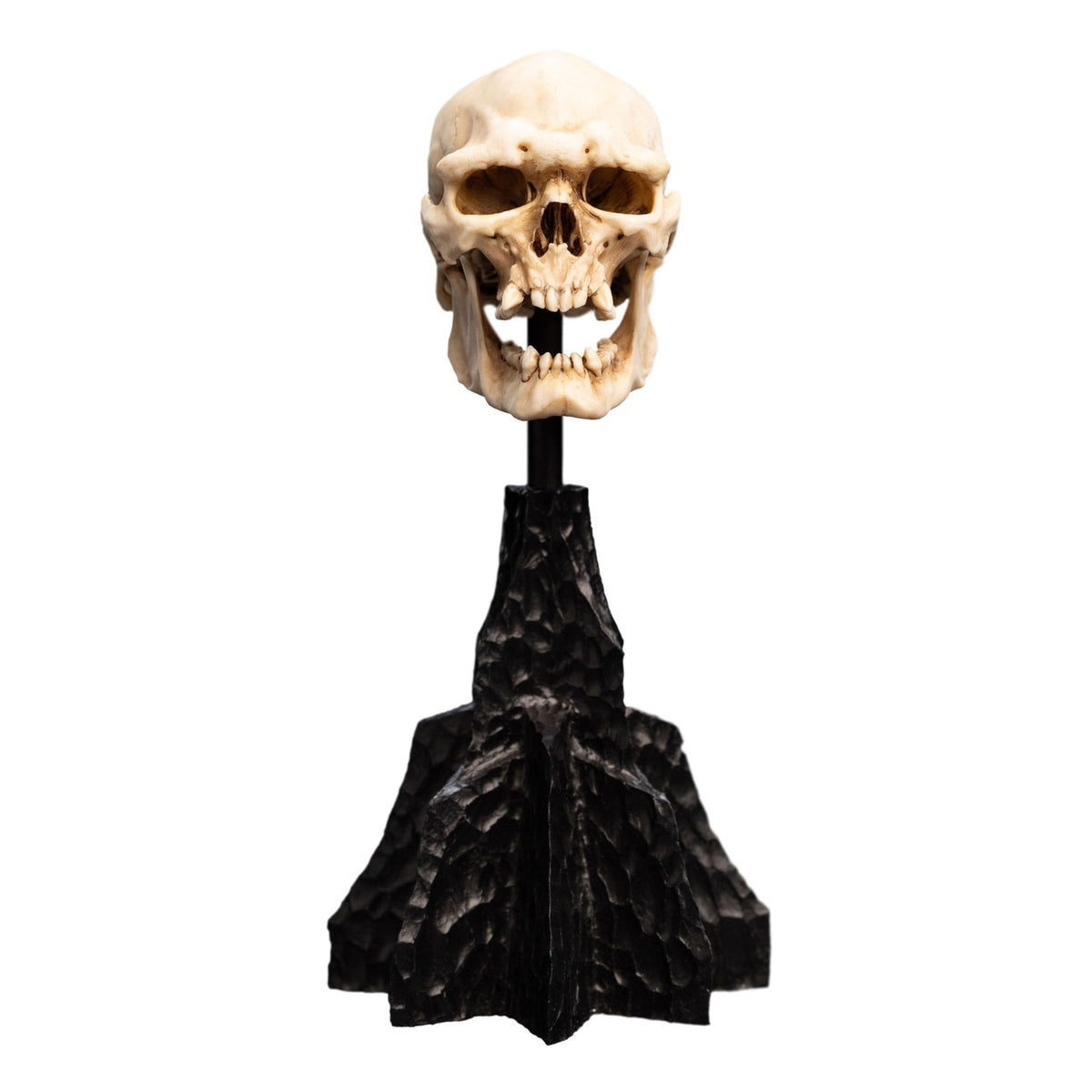 Image produit Le Seigneur des Anneaux - Crâne d’Orque du Mordor Mini Statue