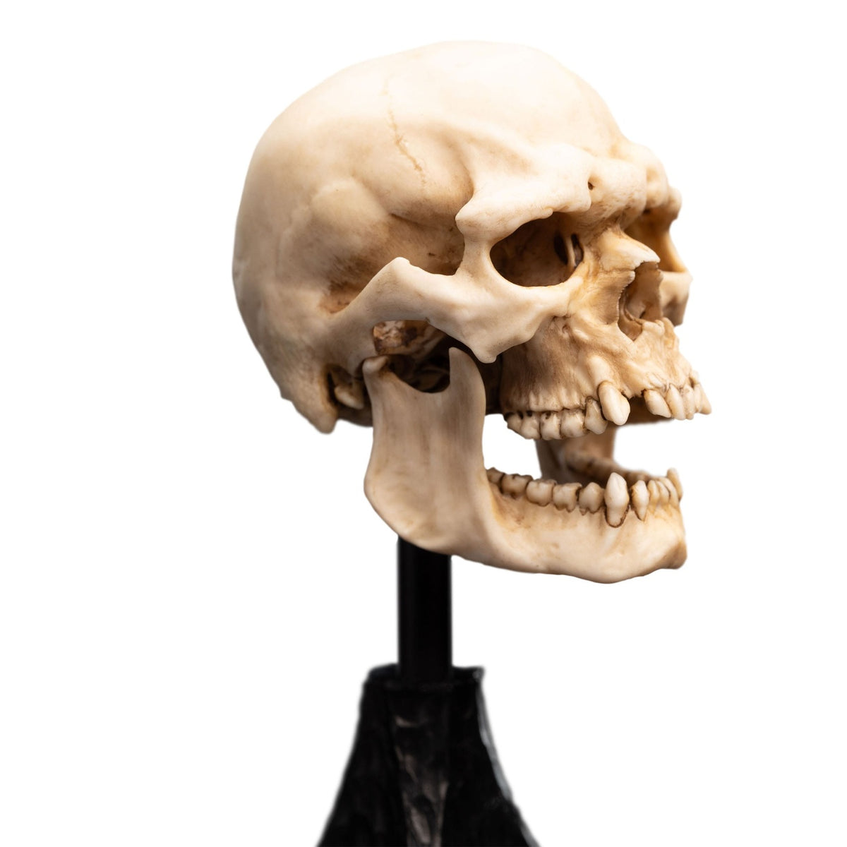 Image produit Le Seigneur des Anneaux - Crâne d’Orque du Mordor Mini Statue