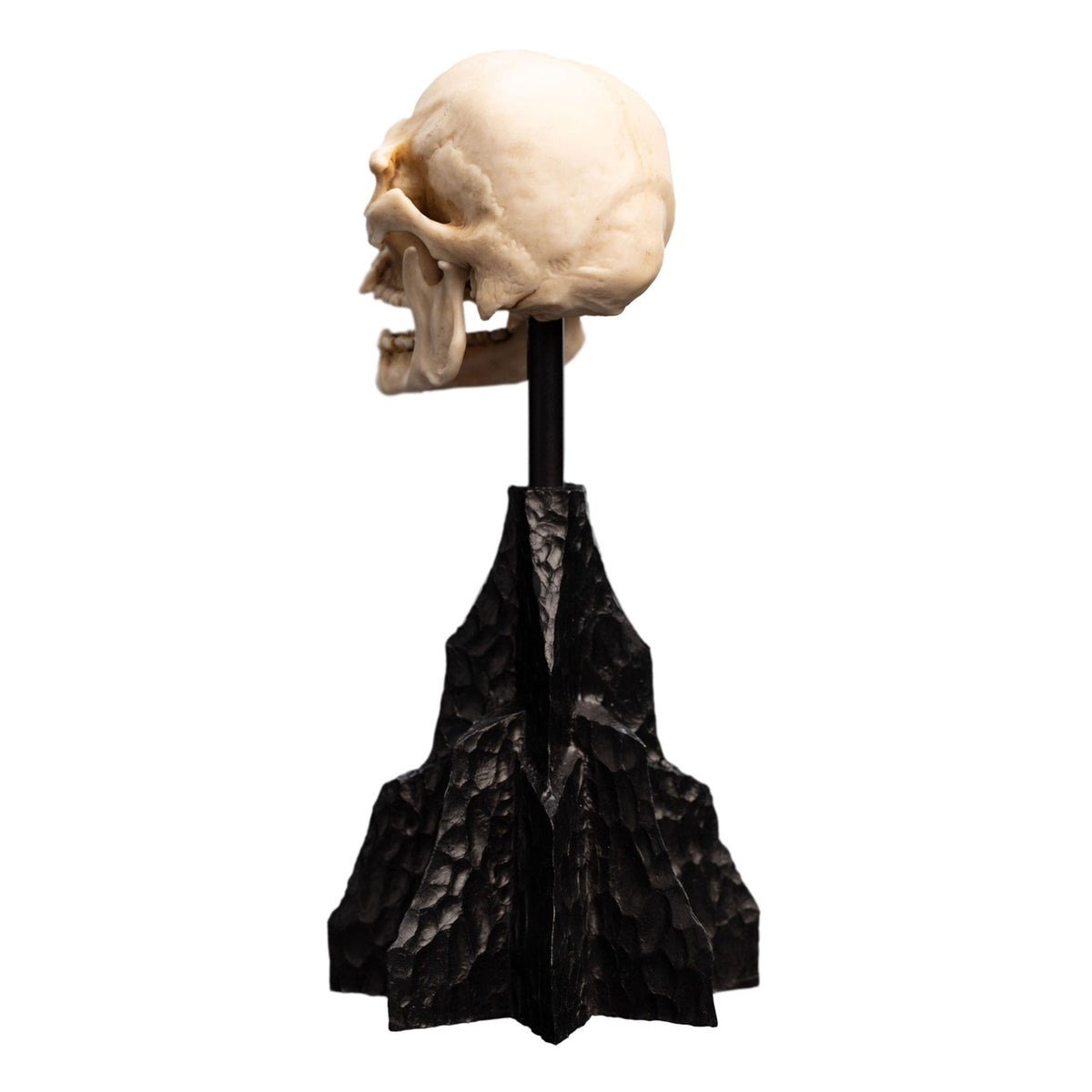 Image produit Le Seigneur des Anneaux - Crâne d’Orque du Mordor Mini Statue