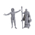 Image produit D&D Nolzur's Marvelous Miniatures Figurine non peinte Volo & Withers