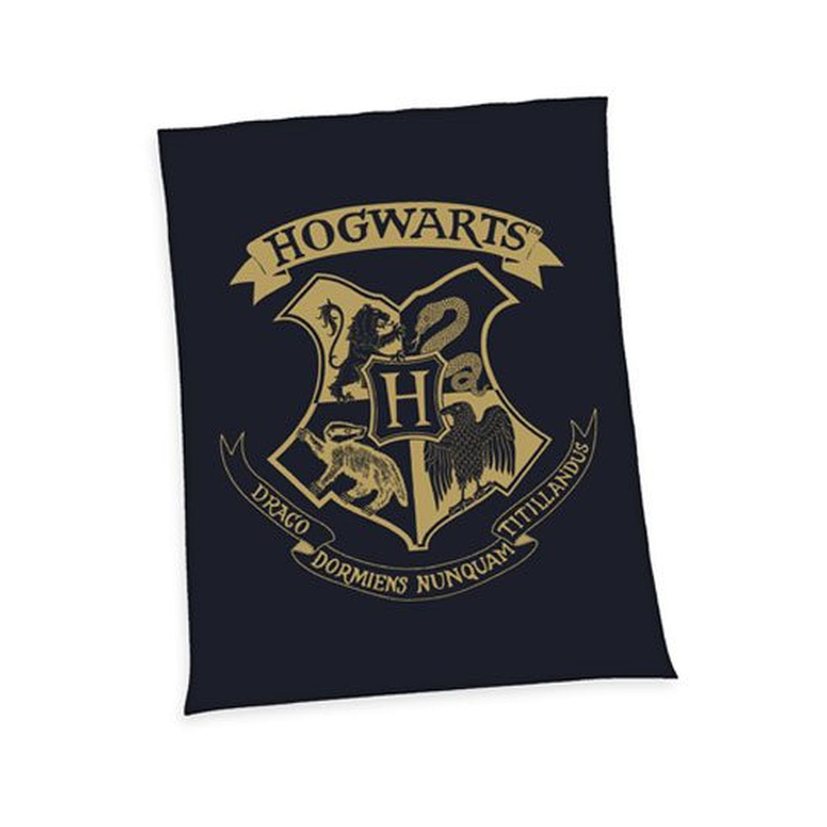 Immagine del prodotto Harry Potter Coperta in pile Hogwarts 150 x 200 cm
