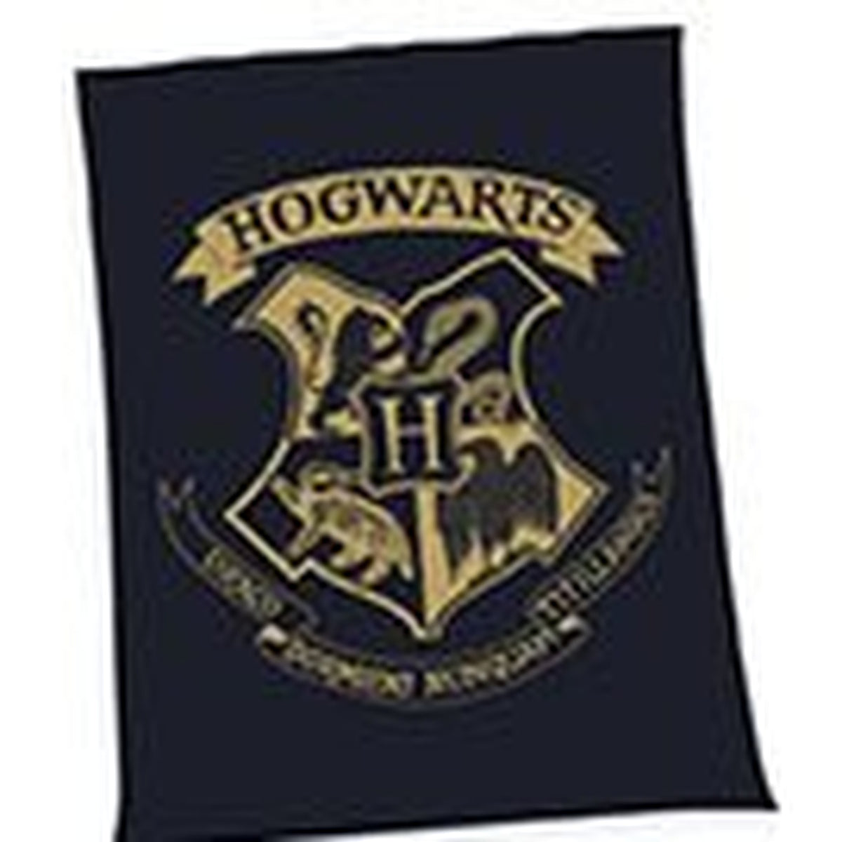Immagine del prodotto Harry Potter Coperta in pile Hogwarts 150 x 200 cm