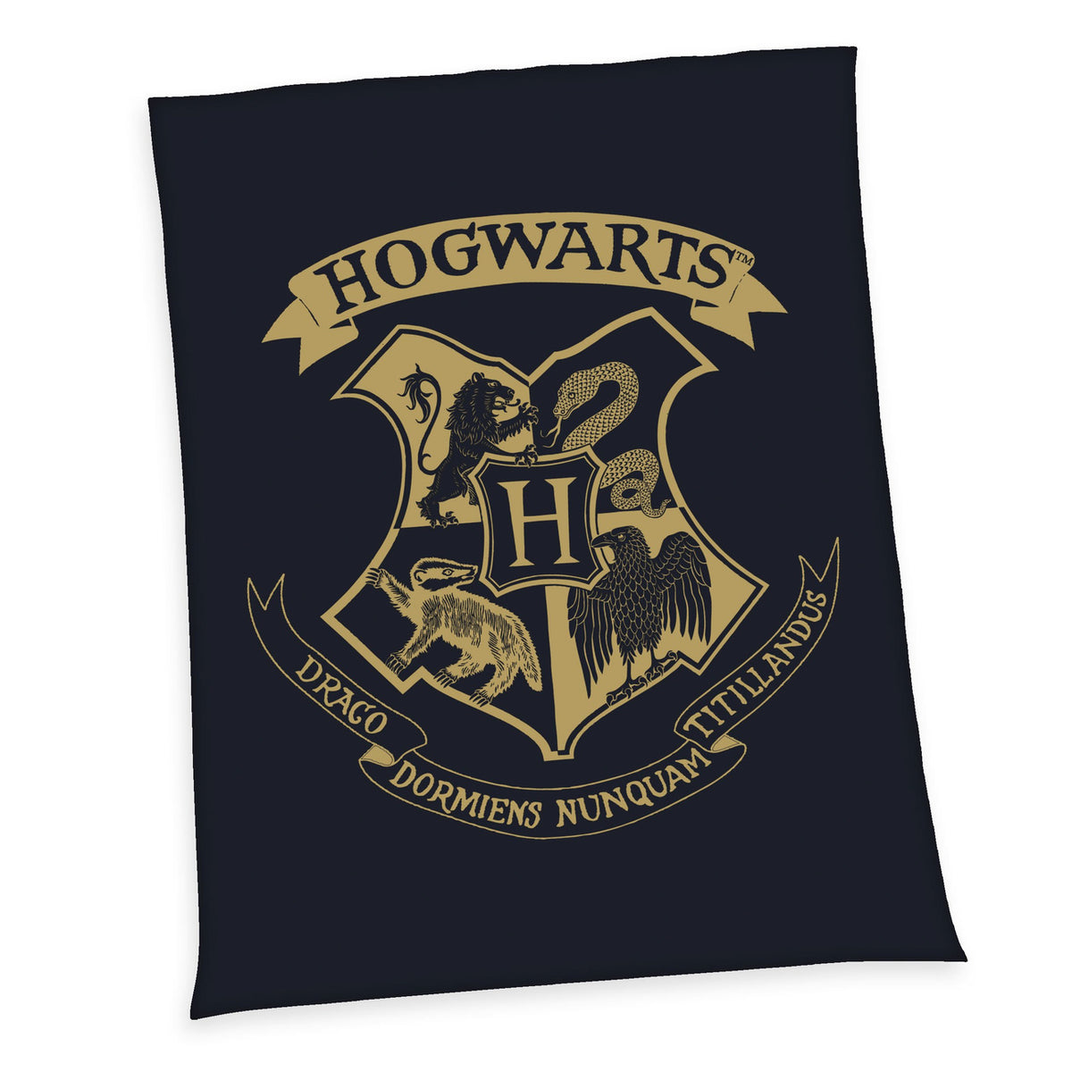 Immagine del prodotto Harry Potter Coperta in pile Hogwarts 150 x 200 cm
