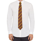 Immagine del prodotto Harry Potter Cravatta & Spilla Deluxe Box Grifondoro