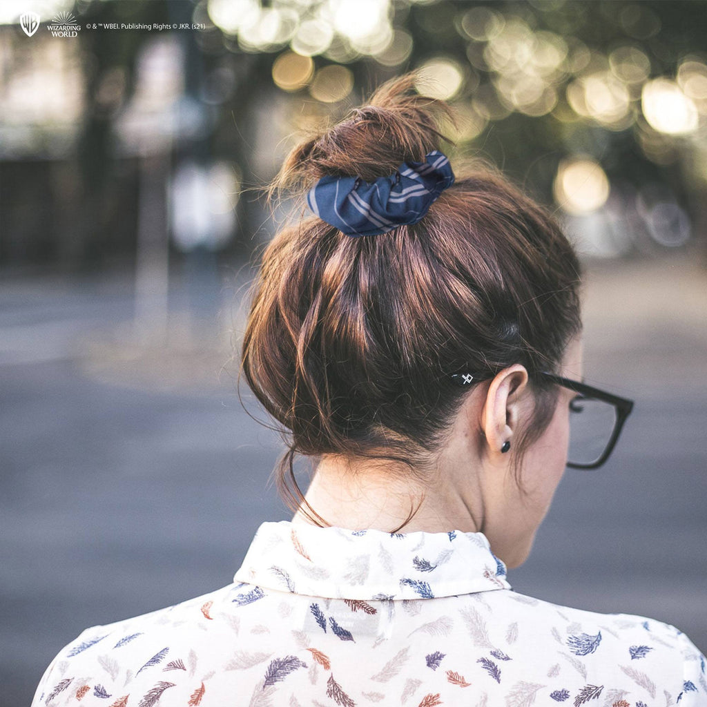Immagine del prodotto Harry Potter Set classico di 2 accessori per capelli Corvonero