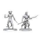 Immagine del prodotto Pathfinder Deep Cuts miniature non dipinte Vordine (Infantry Devil) & Pitborn Rogue
