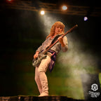 Image produit Def Leppard Rock Iconz Statue Rick Savage 24 cm