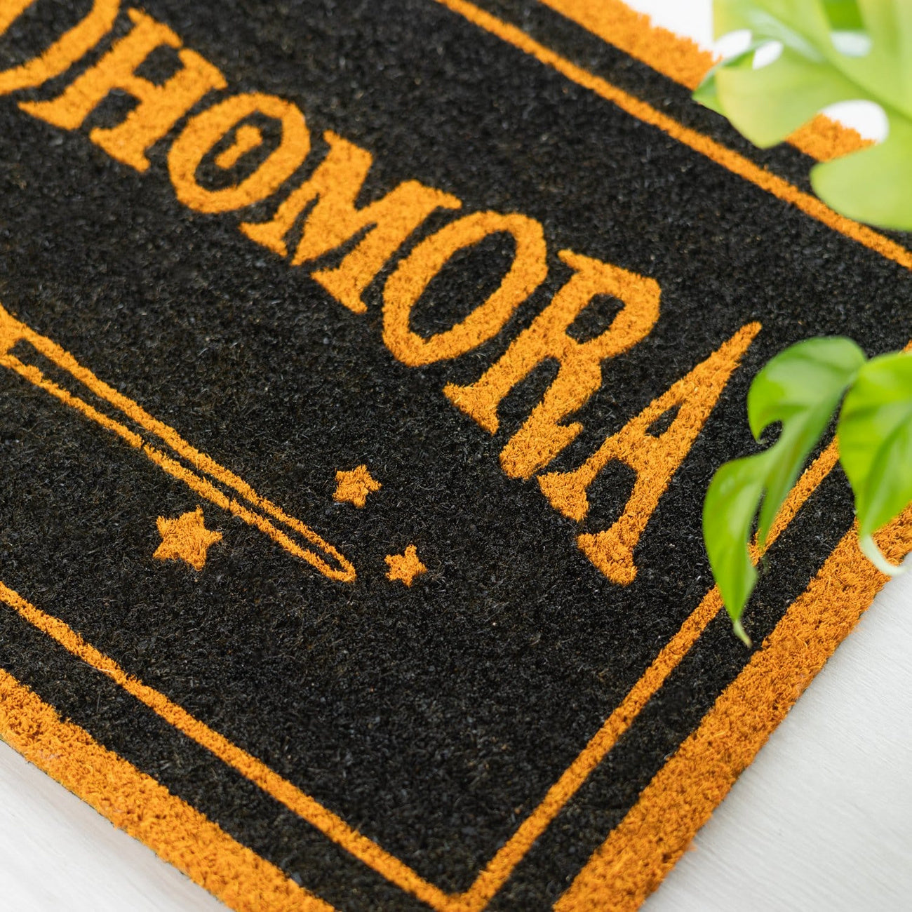 Image produit Harry Potter Paillasson Alohomora 60 x 40 cm
