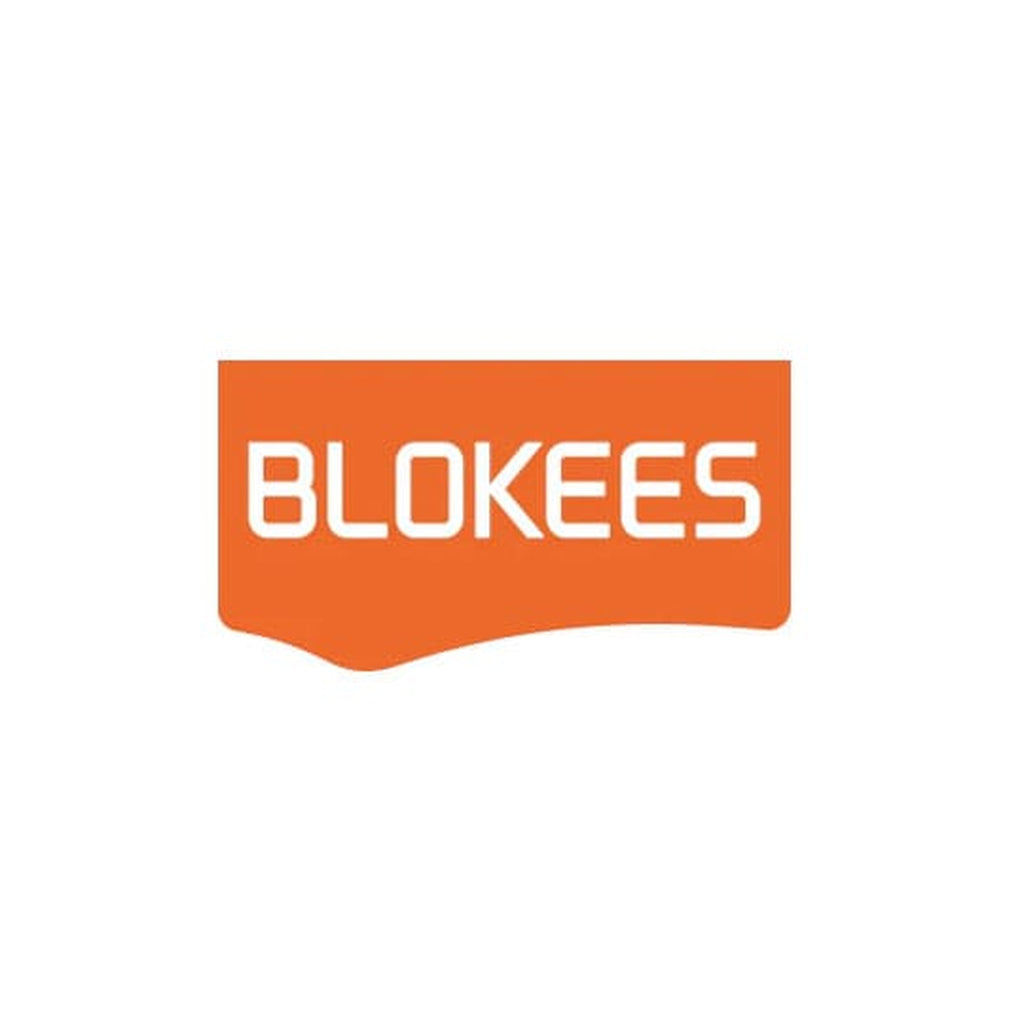 Image produit Transformers Blokees Modèle en plastique Classic Class 13 Elita