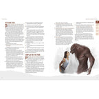 Immagine del prodotto Werewolf: The Apocalypse 5a Edizione libro GdR Scent of