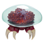 Produktbild World of Nintendo Metroid Prime Actionfigur Metroid